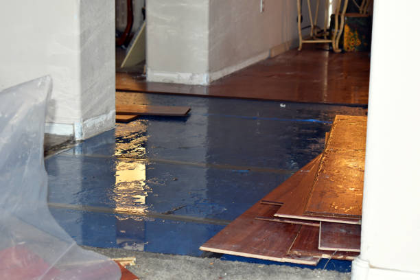 Professional Water Damage Restoration technician working in Miami, WV